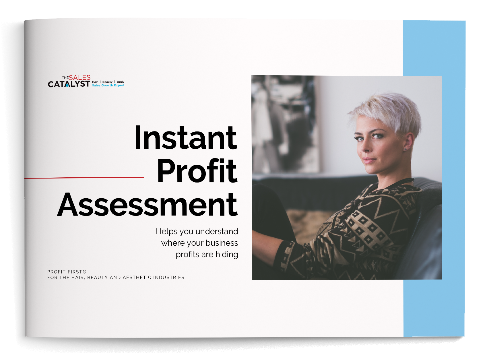 Instant Profit Assessment_The SALES CATALYST(2)